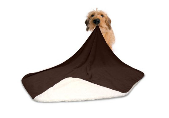 American Kennel Club Pet Throw