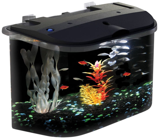 Aquarius Aq15005 Aquarius 5 Rounded 5-Gallon Aquarium Kit