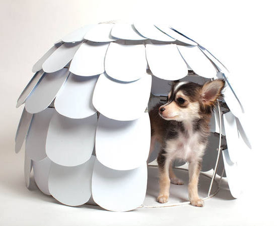 Artichoke Dog House by Sherry Leung