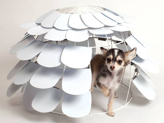 Artichoke Dog House by Sherry Leung