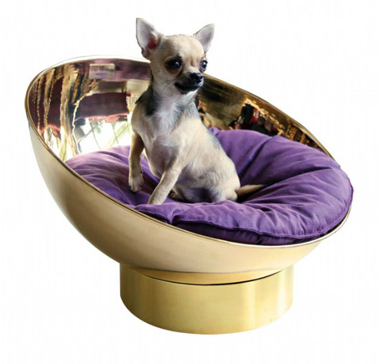 B.Pet Bubble Bed