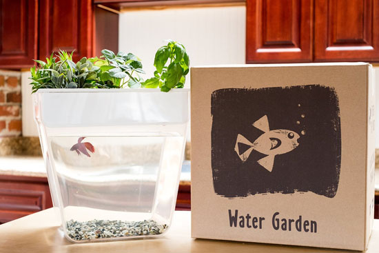 Back to the Roots Water Garden Aquarium Starter Kit