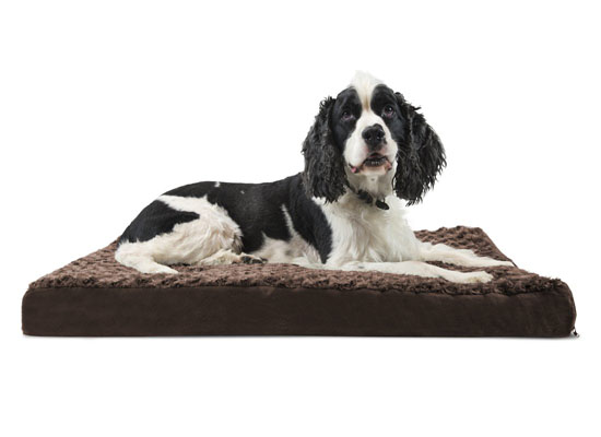 Betsy Ultra Plush Deluxe Ortho Pet Bed by Tucker Murphy Pet