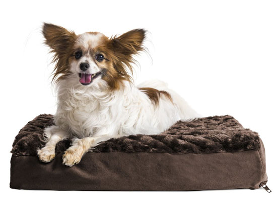 Betsy Ultra Plush Deluxe Ortho Pet Bed by Tucker Murphy Pet