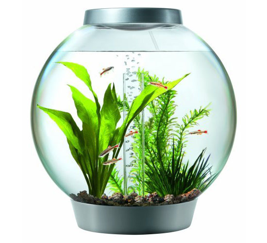 biOrb Aquarium Kit with light fixture