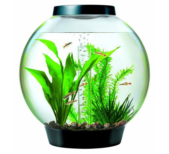 biOrb Aquarium Kit with light fixture