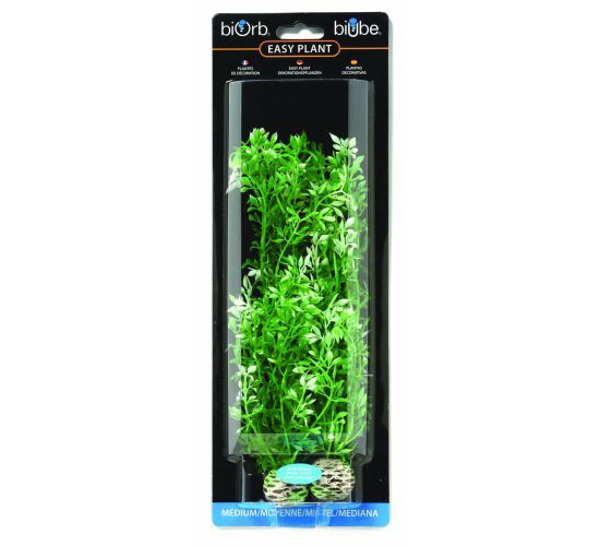 biOrb Winter Flower Plants - biOrb Accessories Plants