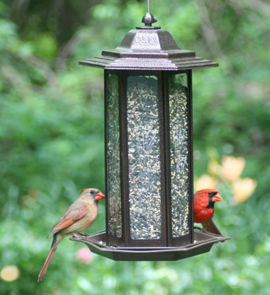 Birdscapes 366 Tall Tulip Garden Lantern Bird Feeder