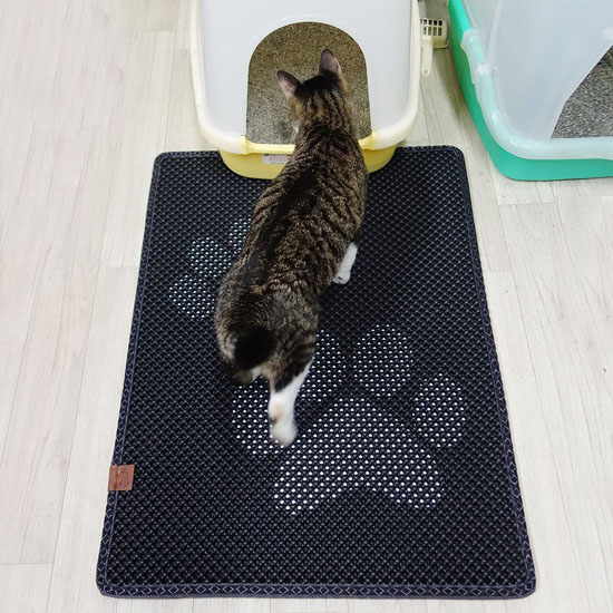 Blackhole Cat Litter Mat