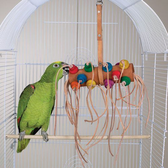 Bonkers Bird Toy - Brainy Bird Wild Series Toys