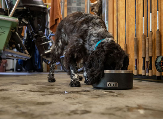 YETI Boomer 8 Dog Bowl