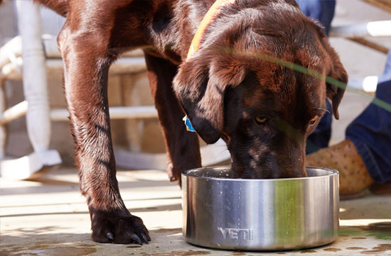 YETI Boomer 8 Dog Bowl