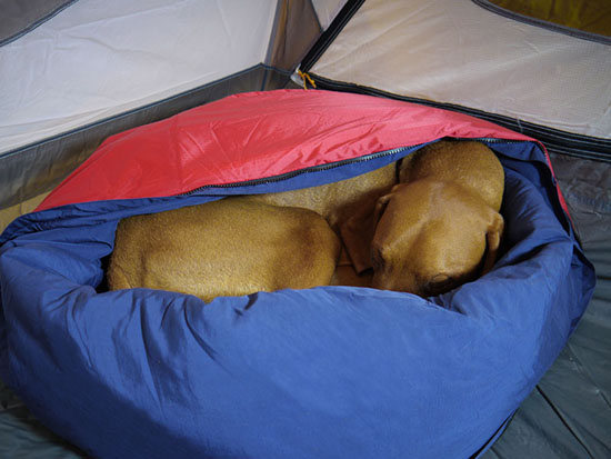 Boulderlite 2-in-1 NobleCamper Travel Dog Bed