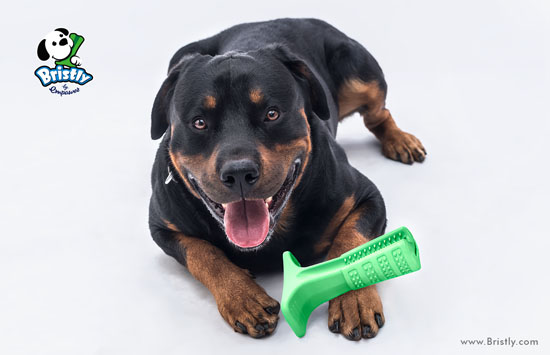 Bristly - Playful and Effective Toothbrush for Dogs