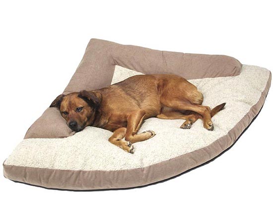 Caddis Corner Dog Bed with Bolster