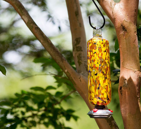 Beautiful and Colorful Carnival Hummingbird Feeder