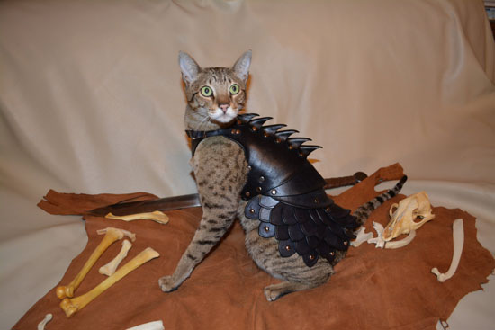 Cat Battle Armor : Cool War-Ready Leather Cat Costume by Savagepunk