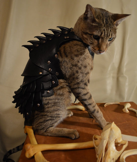 Cat Battle Armor : Cool War-Ready Leather Cat Costume by Savagepunk