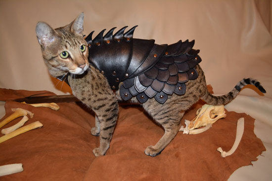 Cat Battle Armor : Cool War-Ready Leather Cat Costume by Savagepunk