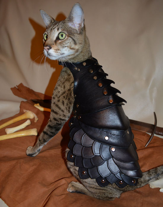 Cat Battle Armor : Cool War-Ready Leather Cat Costume by Savagepunk