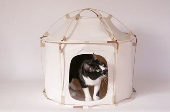 Cat Study House TheGiant Cat House by 41st Century
