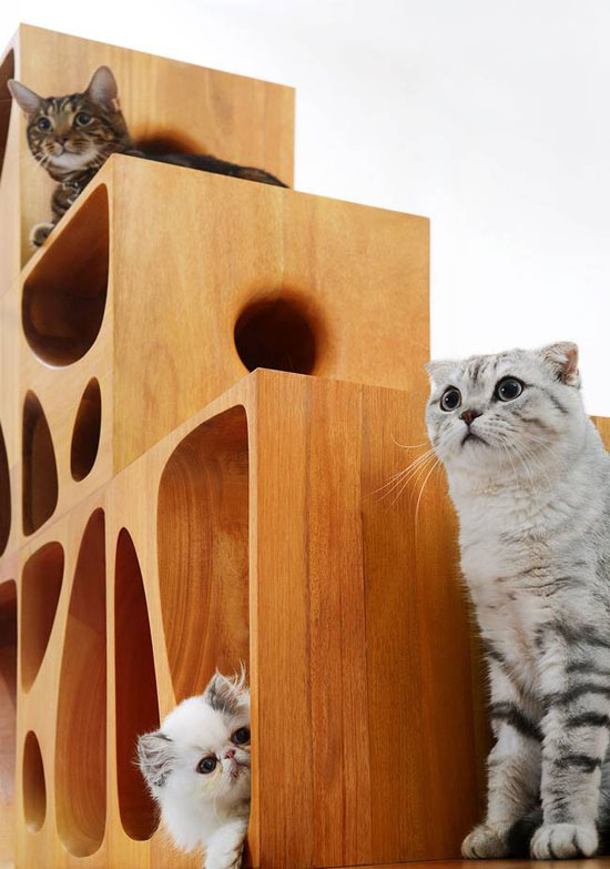 CATable 2.0 Storage System For Your Cats by LYCS Architecture