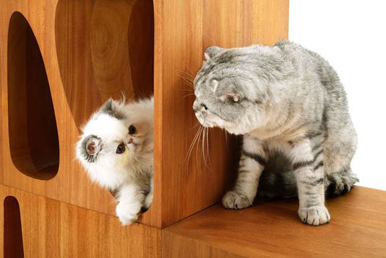 CATable 2.0 Storage System For Your Cats by LYCS Architecture