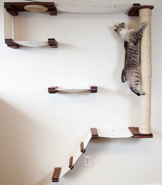 CatastrophiCreations Cat Mod Climb Track : Cat Activity Center