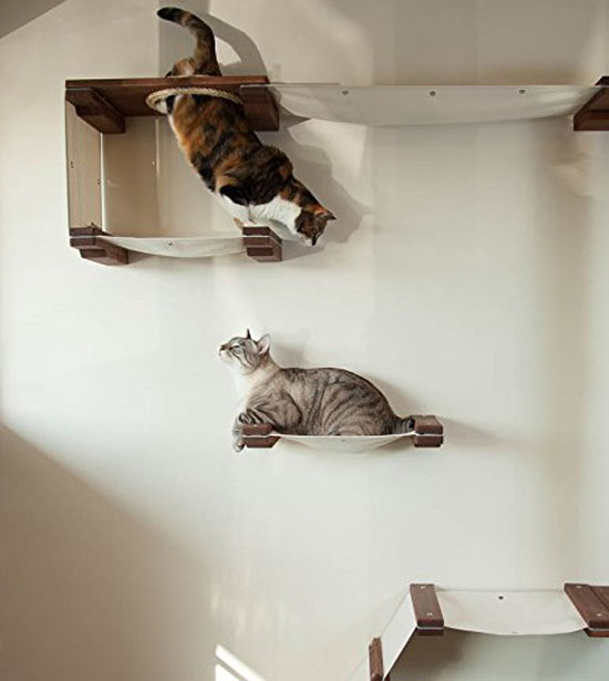 CatastrophiCreations Cat Mod Climb Track : Cat Activity Center