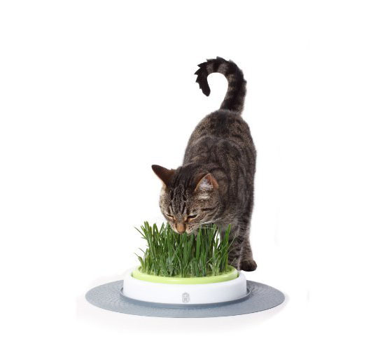 Catit Design Senses Grass Garden Kit