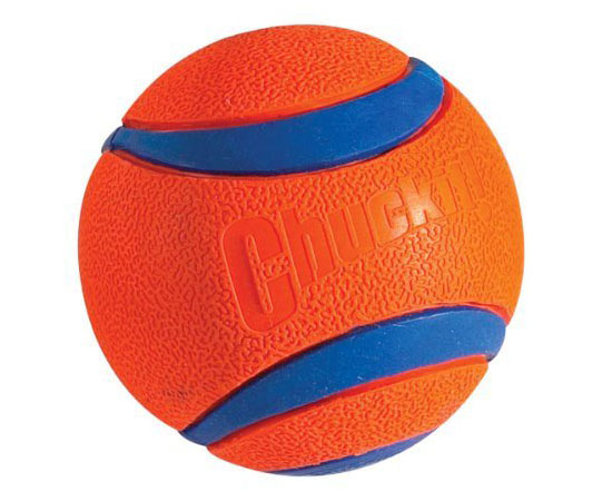 orange dog ball