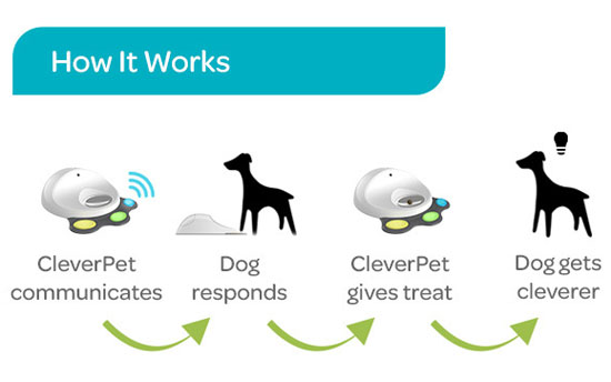 CleverPet Interactive Device for Dogs