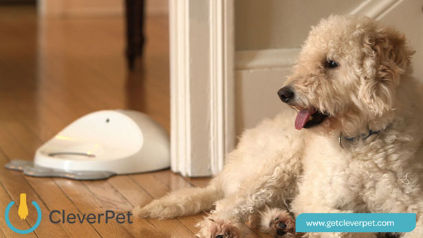 CleverPet Interactive Device for Dogs