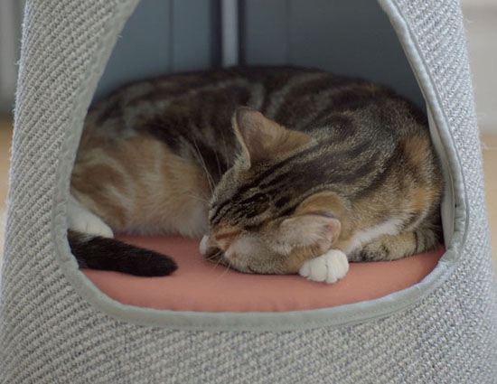 Cone : Modern Scratching Post and Cat Bed in One by WISKI