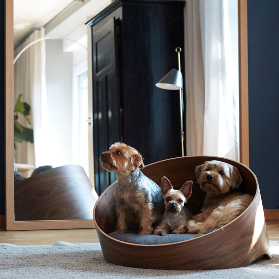 Modern Miacara Covo Dog Lounge by Uta Cossmann