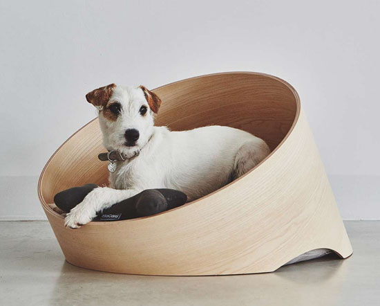 Modern Miacara Covo Dog Lounge by Uta Cossmann