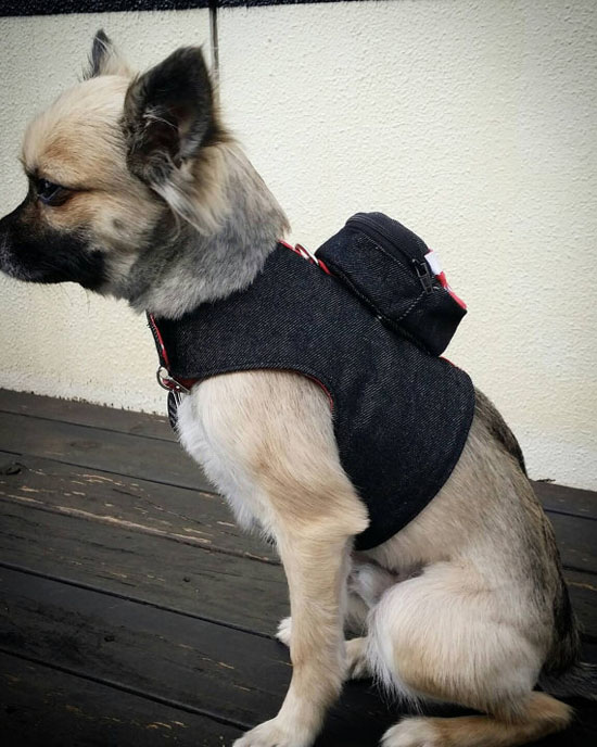 Cute Denim Dog Harness with Detachable Backpack