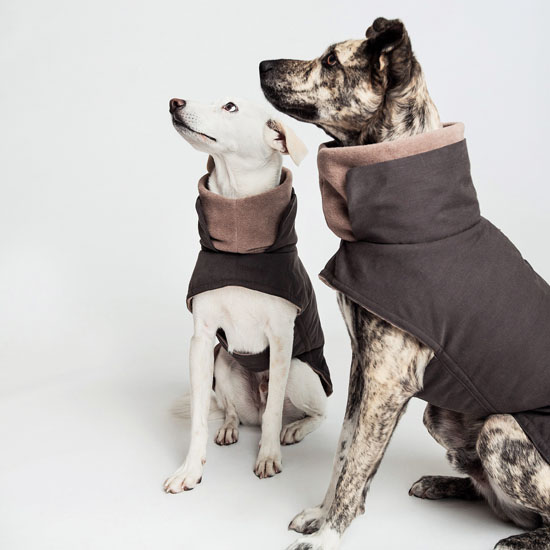 Dog Coat Brooklyn by Cloud7