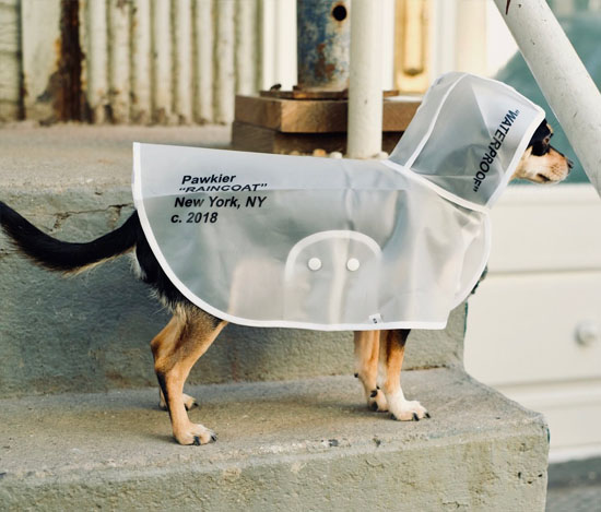 Cool, Stylish, Transparent Rain Coat for Your Dog from Pawkier