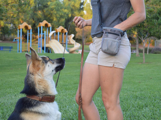 Dog Treat Training Bag with Mesh Pouch for Ball or Toys