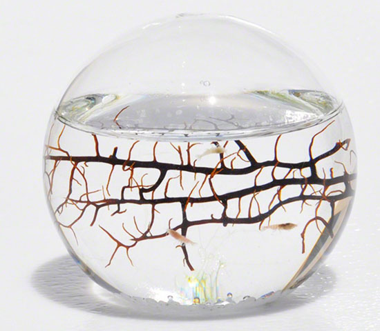 EcoSphere Closed Aquatic Ecosystem