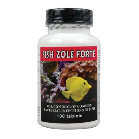 Fish Zole Forte Cures Common Bacterial Fish Diseases