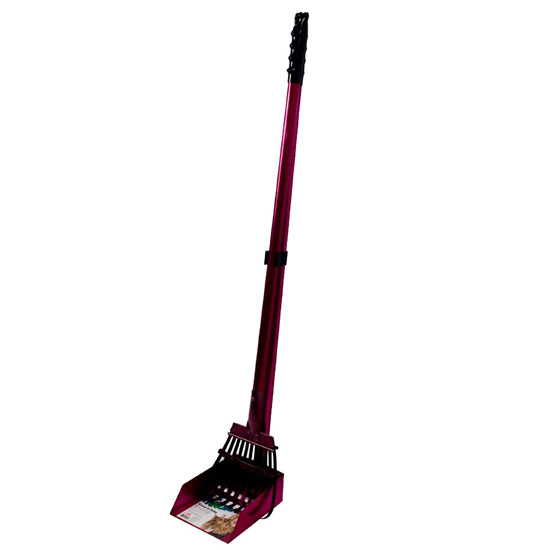 Flexrake 58AR Raspberry Panorama Small Dog Scoop and Rake Set