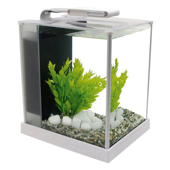 Aquarium Starter Kit - Fluval Spec III Aquarium Kit