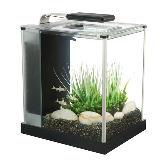 Aquarium Starter Kit - Fluval Spec III Aquarium Kit