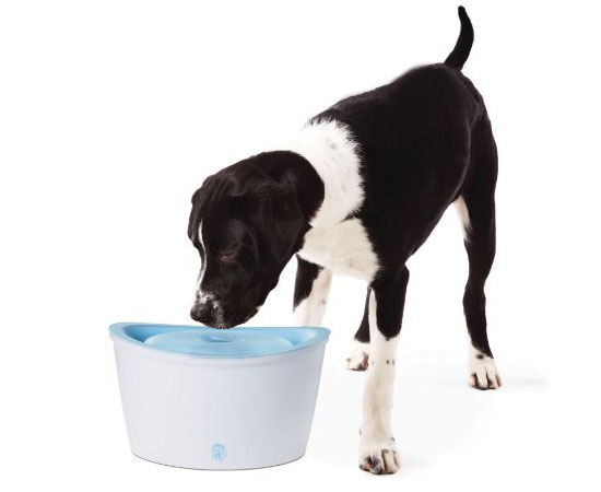 Hagen Dogit Design Fresh and Clear Dog Drinking Fountain