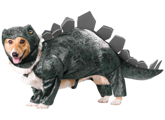 Top 20 Dog Halloween Costumes - Animal Planet Stegosaurus Dog Costume