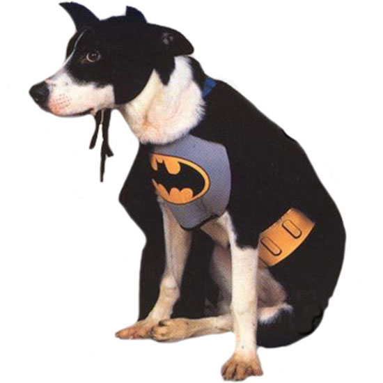 Top 20 Dog Halloween Costumes - Batman Dog Costume