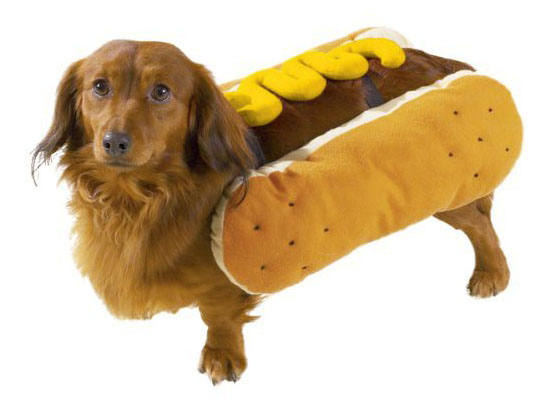 Top 20 Dog Halloween Costumes - Casual Canine Hot Diggity Dog Costume