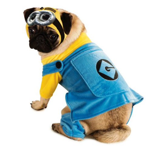 Top 20 Dog Halloween Costumes - Despicable Me 2 Minion Pet Costume